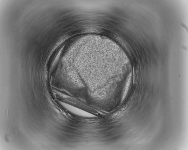 X0000098160435200805081107