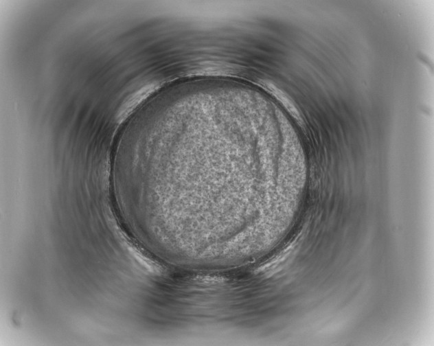 X0000098160437200805081107