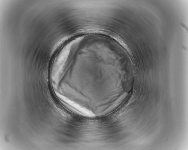 X0000098160438200805081107