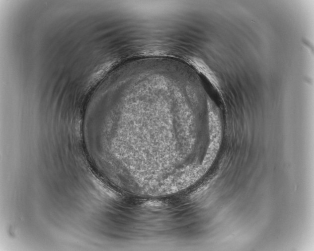 X0000098160441200805081107