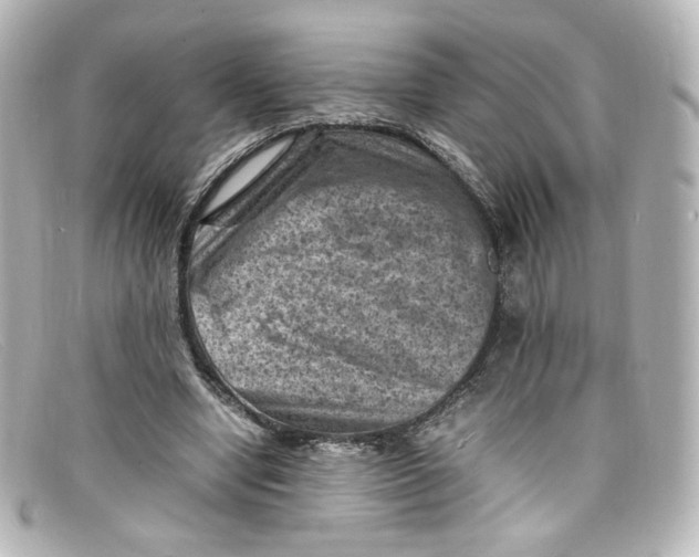 X0000098160442200805081107