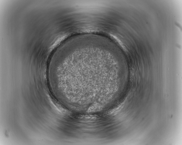 X0000098160443200805081107