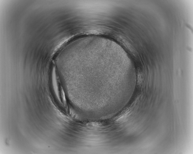 X0000098160444200805081107