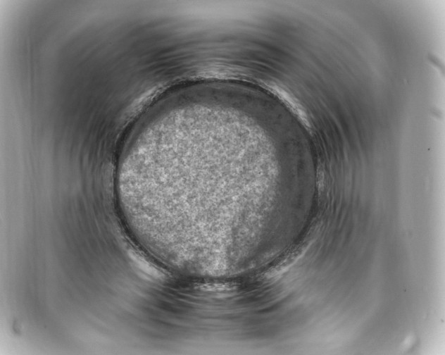 X0000098160445200805081107