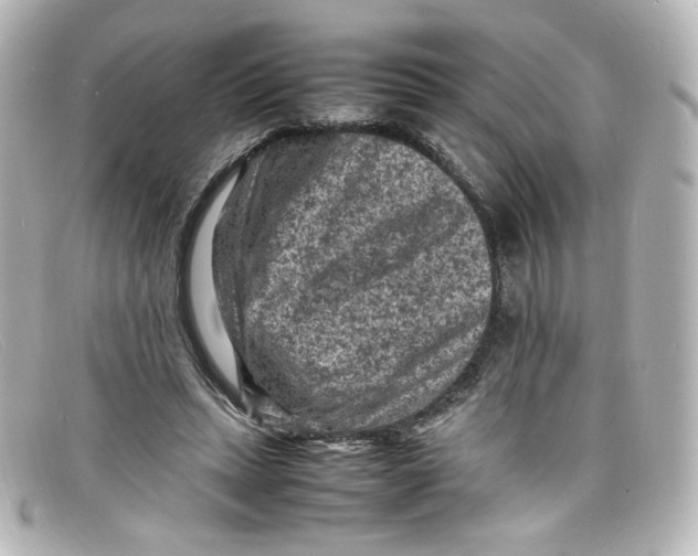 X0000098160447200805081107
