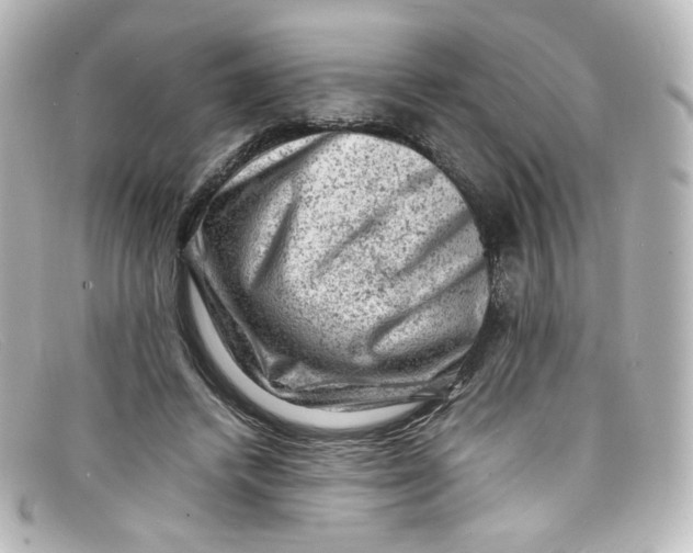 X0000098160448200805081107