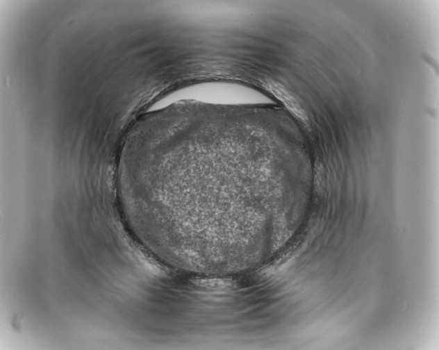X0000098160449200805081107