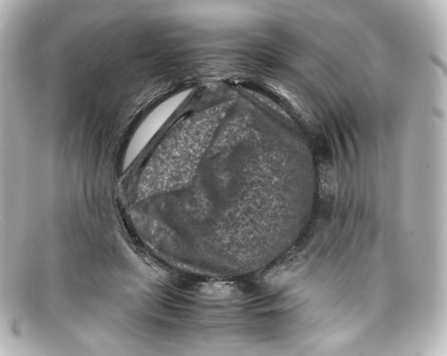 X0000098160451200805081107