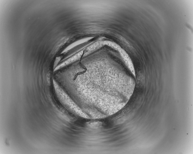 X0000098160452200805081107