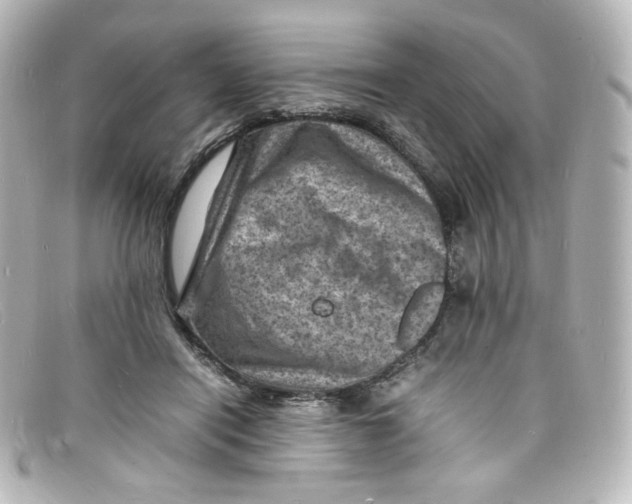 X0000098160454200805081107