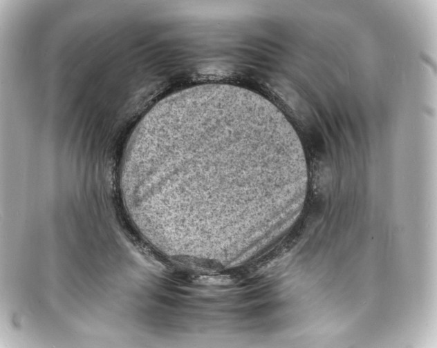 X0000098160455200805081107