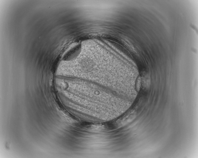 X0000098160458200805081107