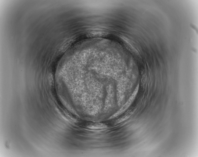X0000098160459200805081107