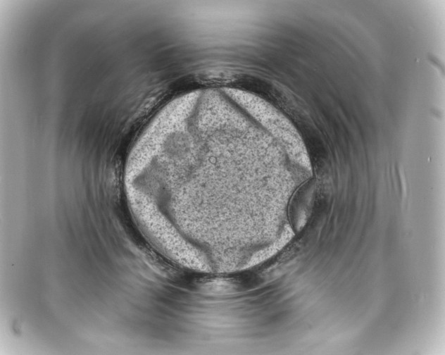 X0000098160460200805081107