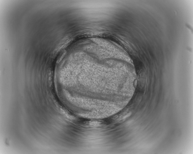 X0000098160462200805081107