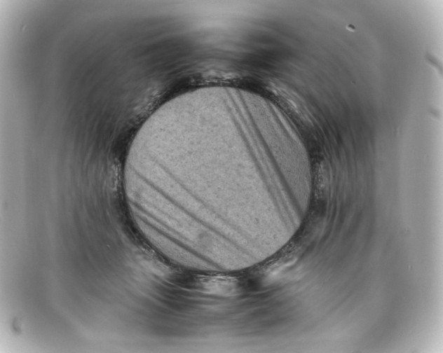 X0000098160463200805081107