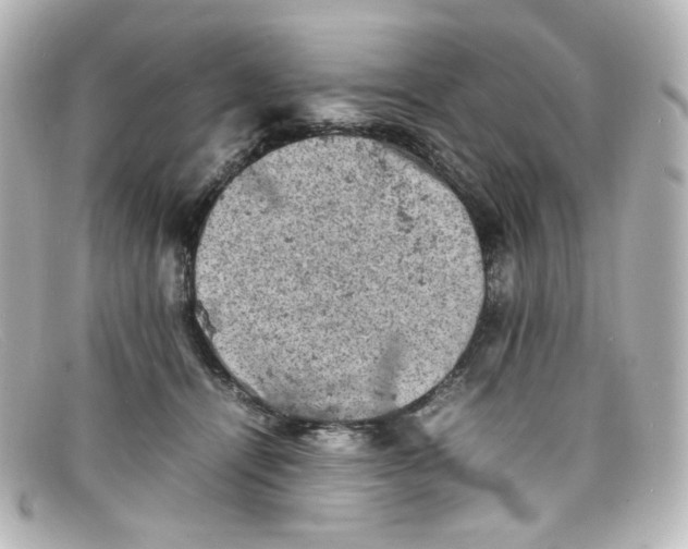 X0000098160464200805081107