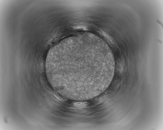X0000098160465200805081107