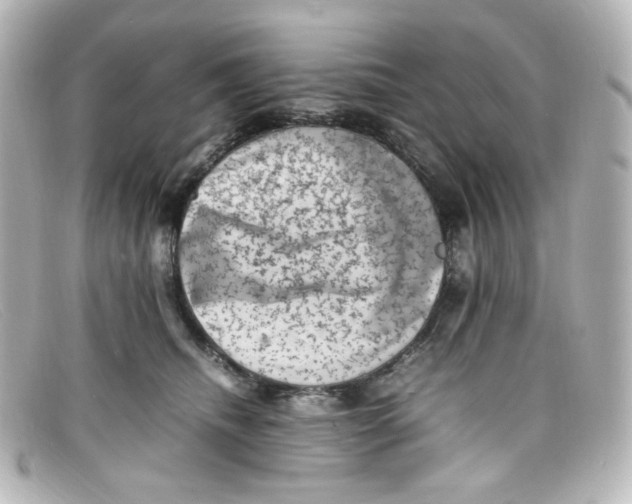 X0000098160468200805081107