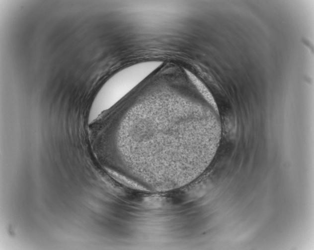 X0000098160470200805081107