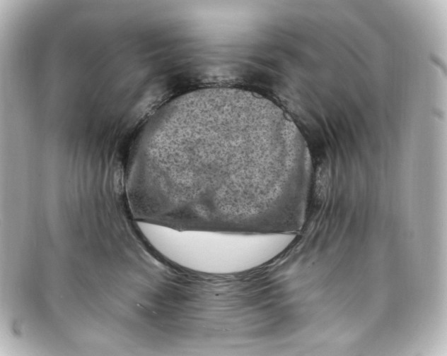 X0000098160474200805081107