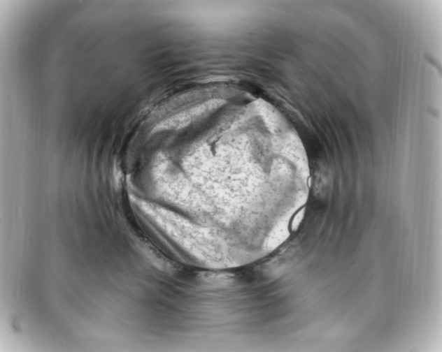 X0000098160476200805081107