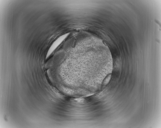 X0000098160478200805081108