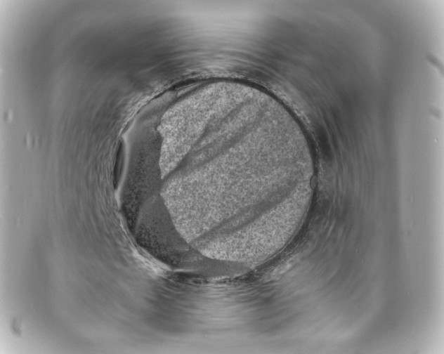 X0000098160481200805081107
