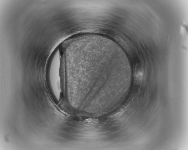X0000098160484200805081107