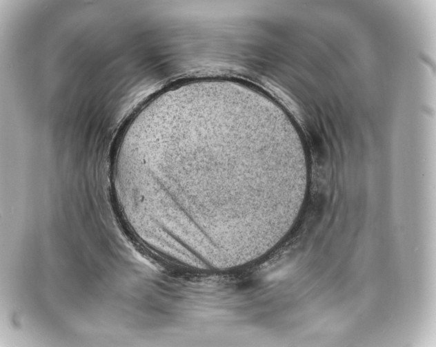 X0000098160485200805081107