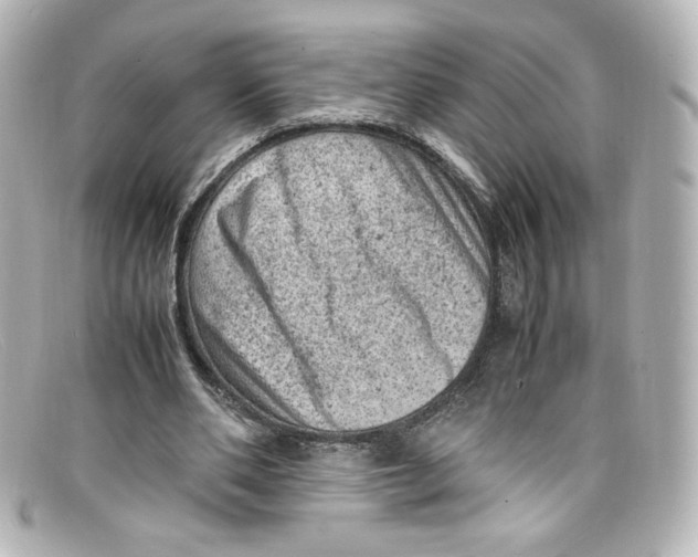 X0000098160486200805081107