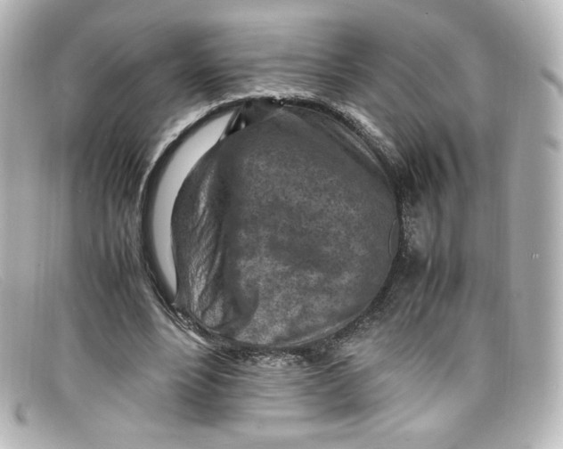 X0000098160488200805081107