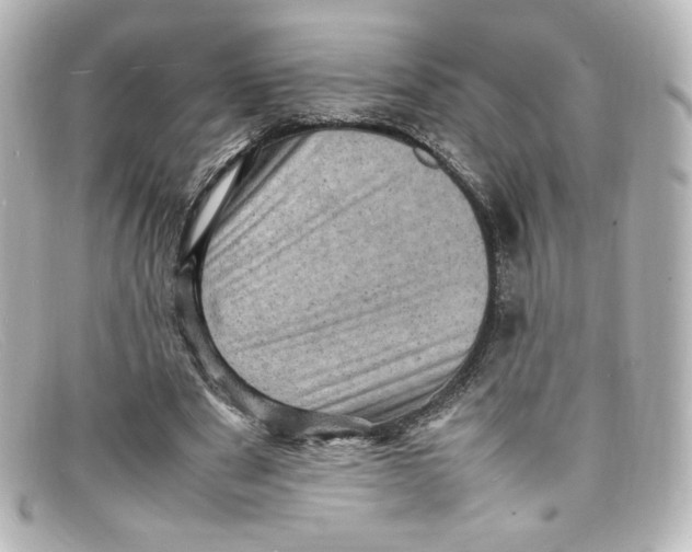 X0000098160489200805081107