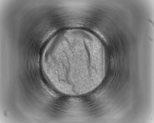X0000098160490200805081107
