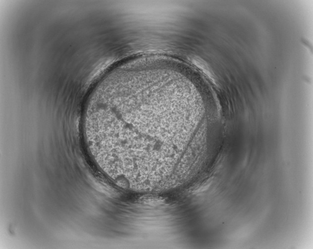 X0000098160491200805081107
