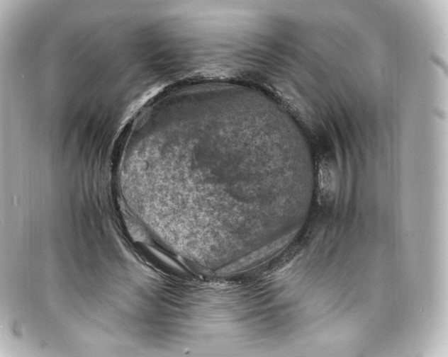 X0000098160492200805081107