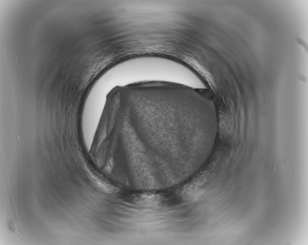X0000098160493200805081107