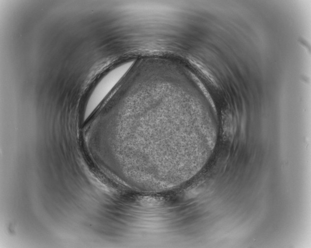 X0000098160494200805081107