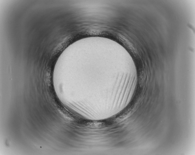 X0000098160497200805081107