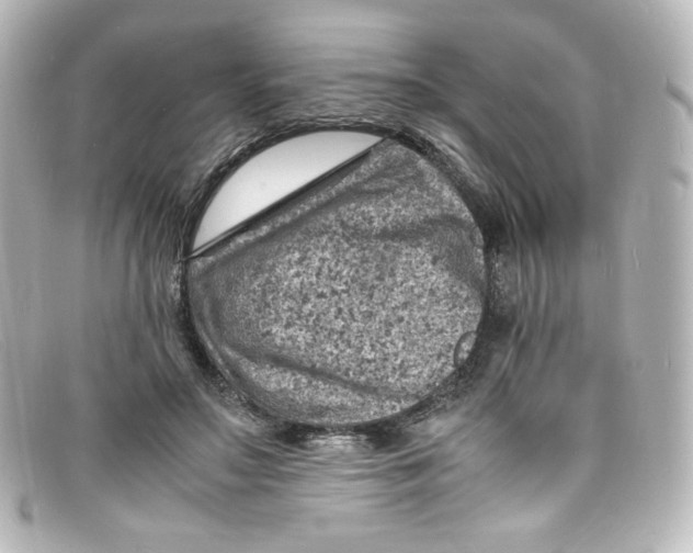 X0000098160499200805081107