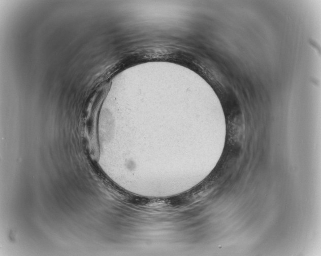 X0000098160505200805081107