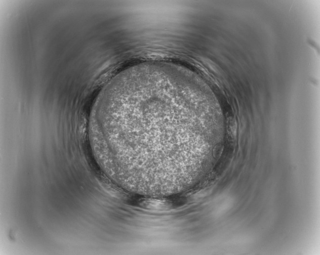 X0000098160507200805081106