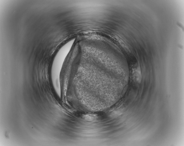 X0000098160508200805081106