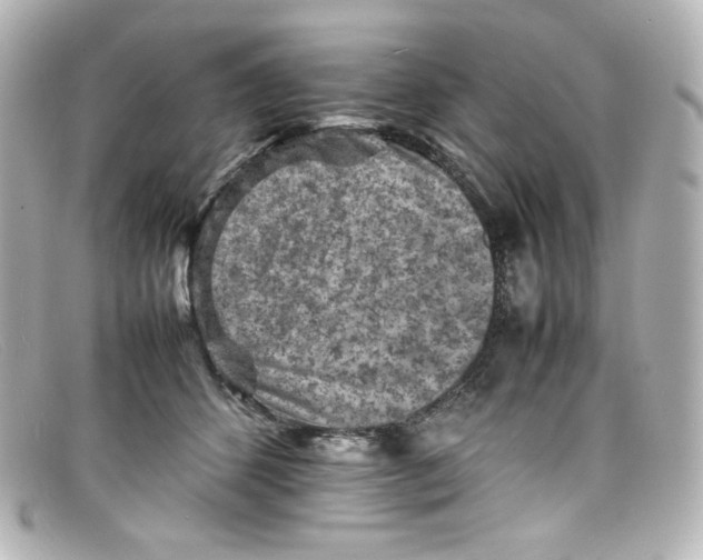 X0000098160512200805081106