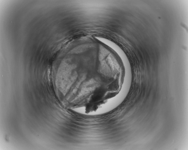 X0000098160514200805081106