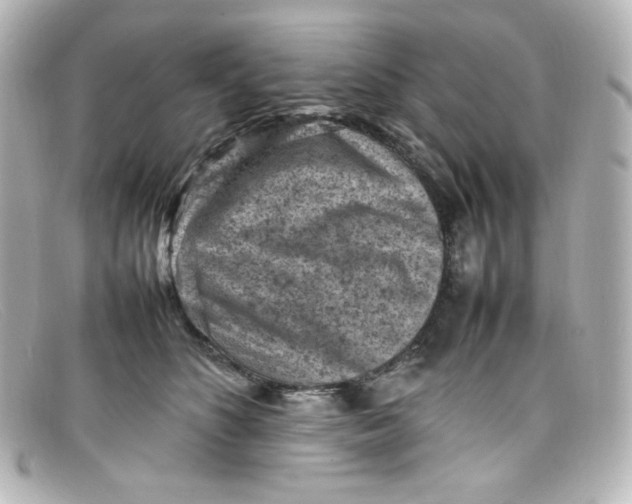X0000098160516200805081106