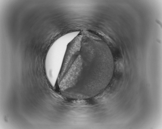 X0000098160517200805081106