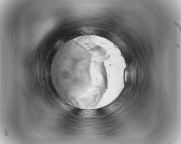 X0000098160526200805081106