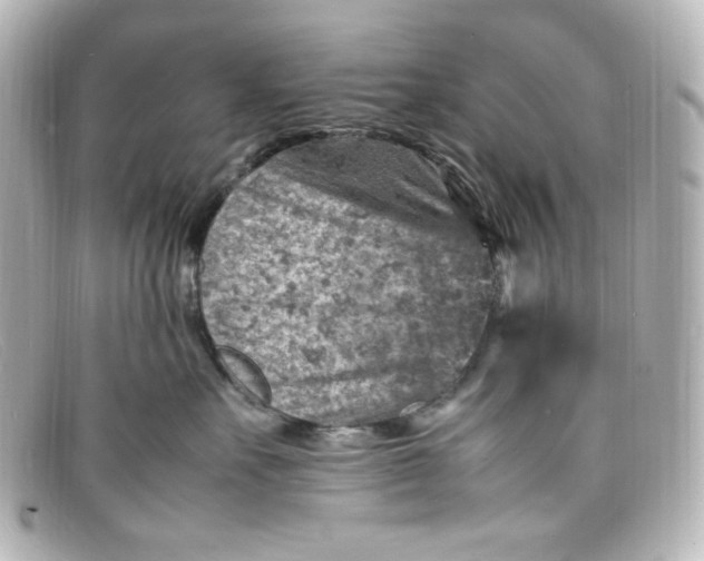 X0000098160527200805081106