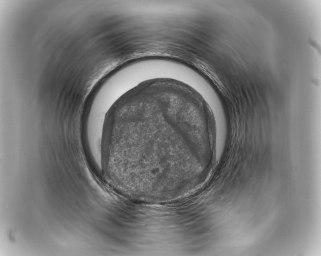 X0000098160534200805081106